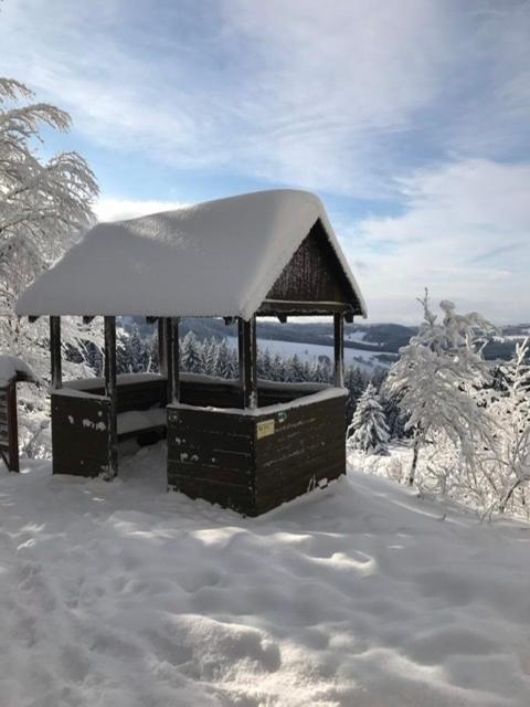 Ubytovani U Potoka Destne v Orlickych horach Exterior photo